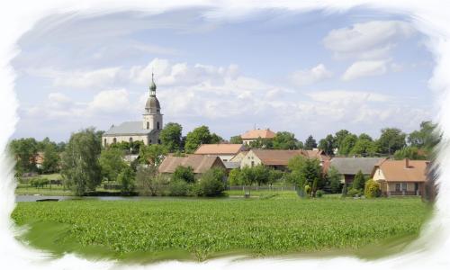zitovlice painting
